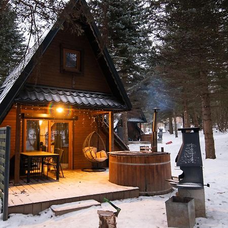 Vila Oliwne Wzgorza Stronie Śląskie Exteriér fotografie